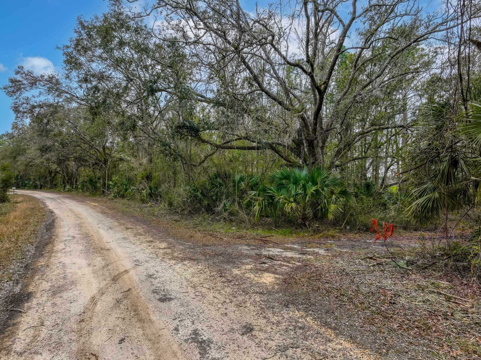 Vacant David Horton Road Perry, FL 32348 - Photo 8 of 12 Gallery Image 8