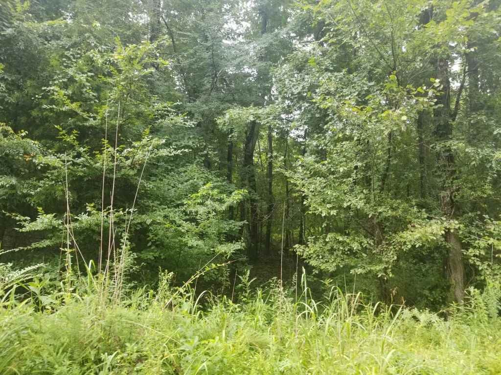 870 Stump Hollow Road Spring City, TN 37381 - Photo 1 of 5 Gallery Image 1