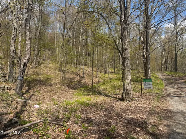 $58,500 | L10 Bromley Lane, Granville, NY 12832