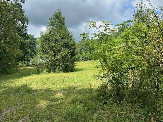 2 Prater Road Pikeville, TN 37367 - Photo 11 of 19 Gallery Image 11