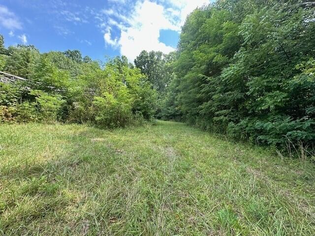 2 Prater Road Pikeville, TN 37367 - Photo 8 of 19 Gallery Image 8