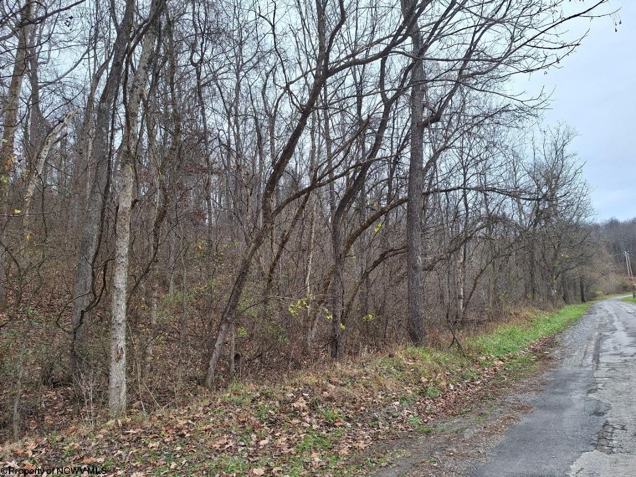 Tbd Jack Run Road Bridgeport, WV 26330 - Photo 6 of 19 Gallery Image 6