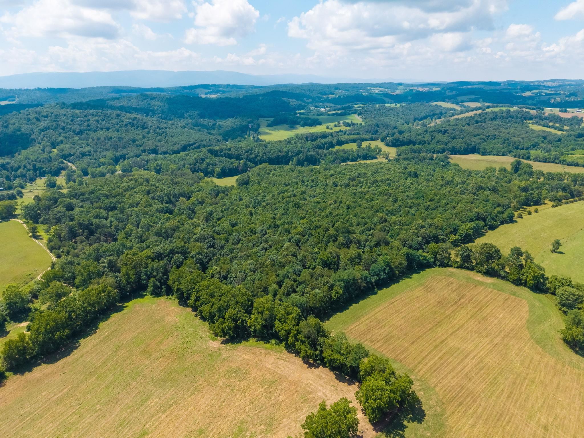 Tbd Middlebrook Road Staunton, VA 24401 - Photo 5 of 13