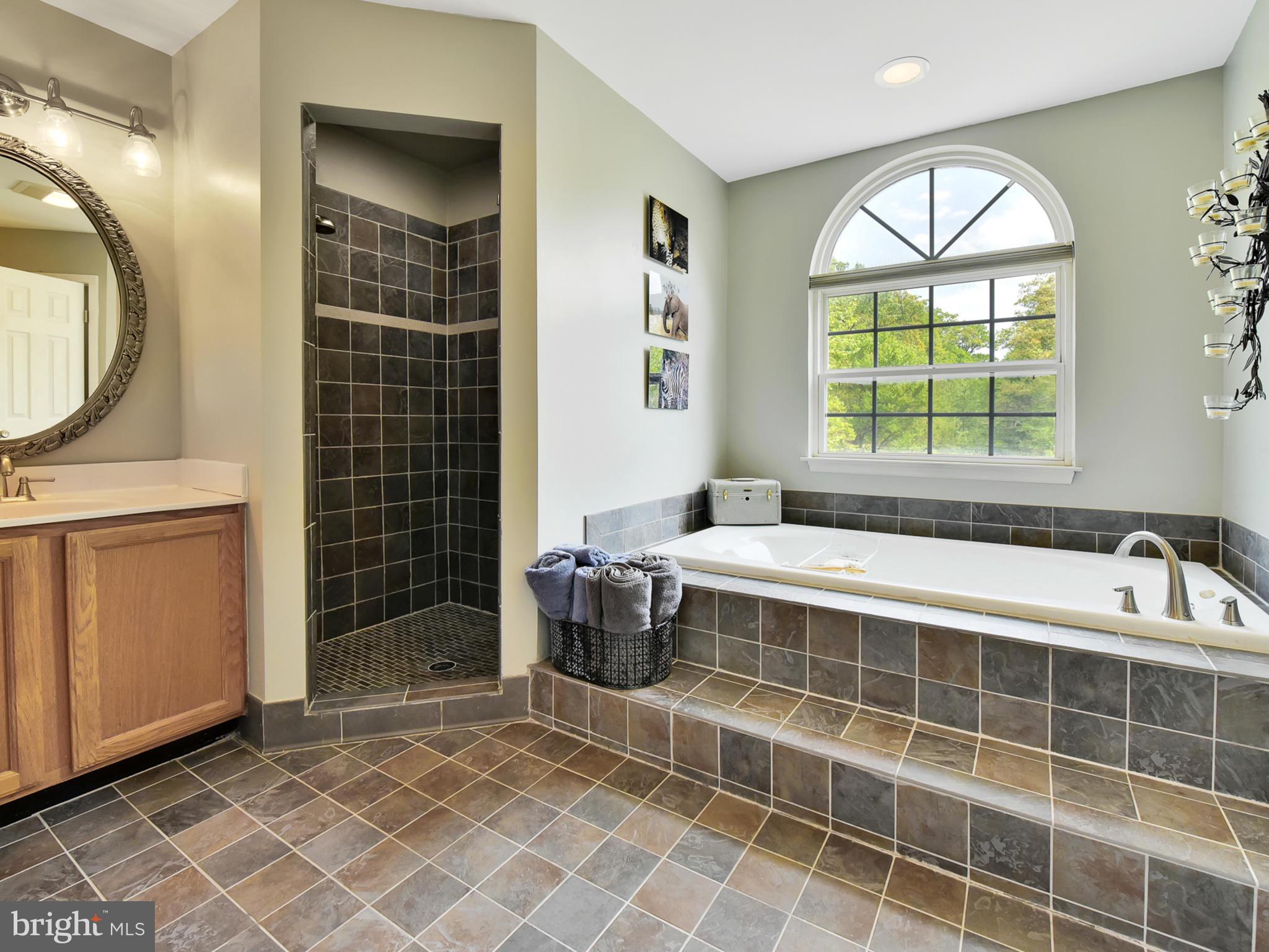 6405 Spring Forest Road Frederick, MD 21701 - Photo 31 of 68 Custom tile, soaking tub and separate shower!