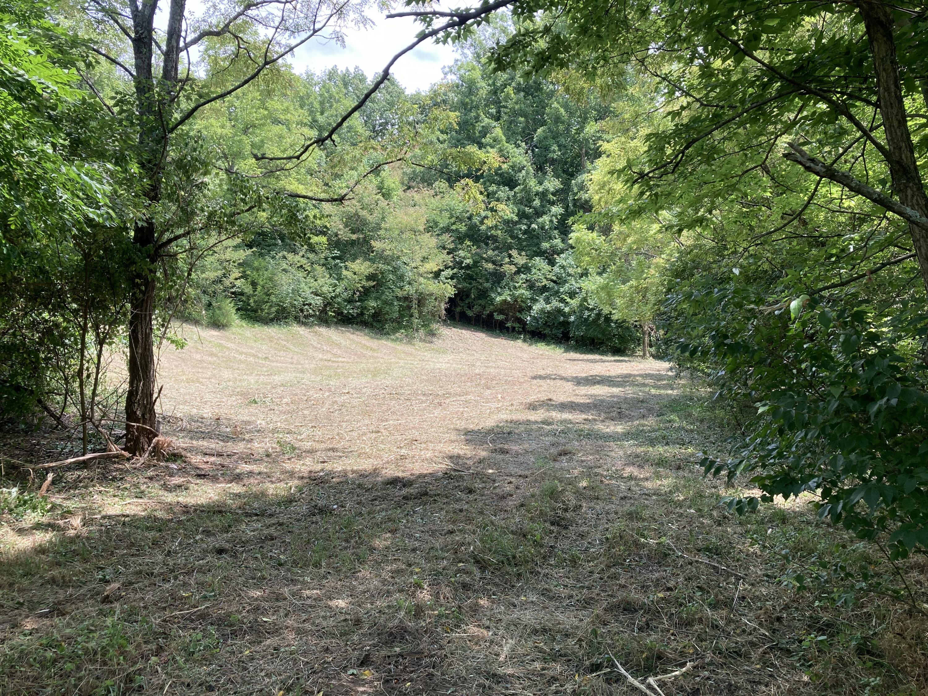 5 Tom Hackley Road Danville, KY 40422 - Photo 6 of 8 IMG_3895 2