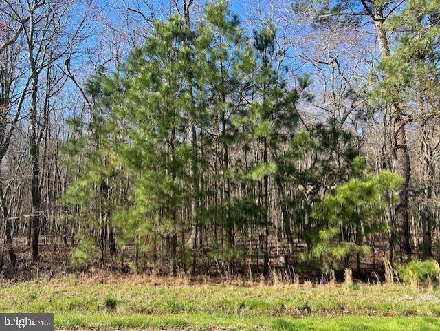 Garden Estates Road Cambridge, MD 21613 - Photo 5 of 10 Woods View