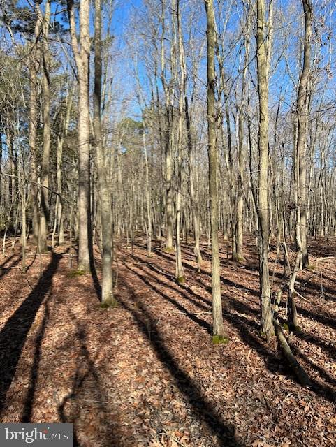 Garden Estates Road Cambridge, MD 21613 - Photo 6 of 10