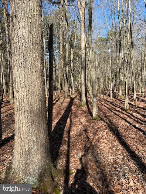 Garden Estates Road Cambridge, MD 21613 - Photo 7 of 10