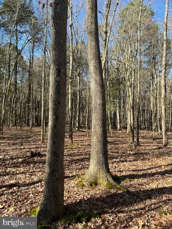 $375,000 | Garden Estates Road, Cambridge, MD 21613