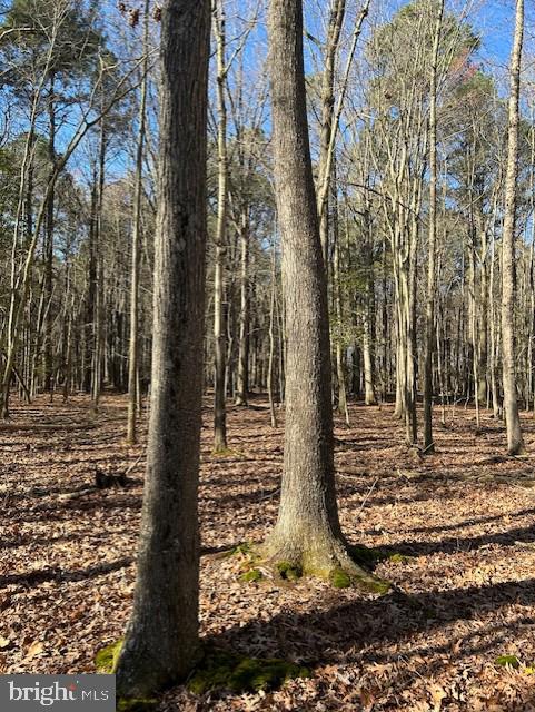 Garden Estates Road Cambridge, MD 21613 - Photo 9 of 10