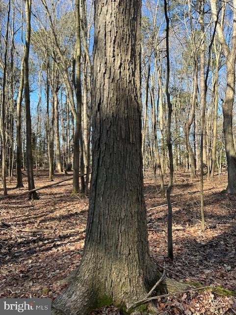 Garden Estates Road Cambridge, MD 21613 - Photo 10 of 10