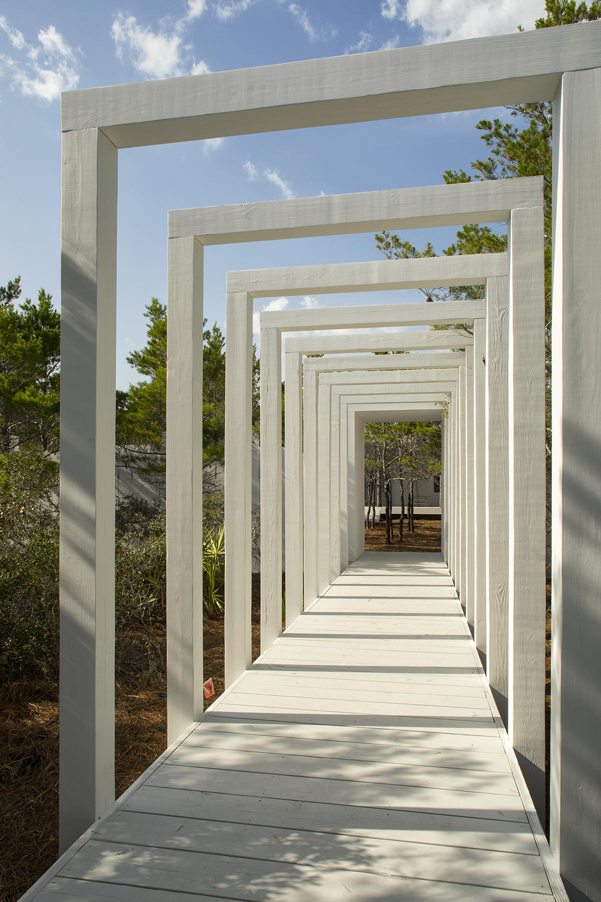 129 Catnap Alley Inlet Beach, Unit LOT 31 Inlet Beach, FL 32461 - Photo 6 of 9 __057