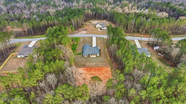 $398,000 | 143 Ashwood Lane, Mendenhall, MS 39114