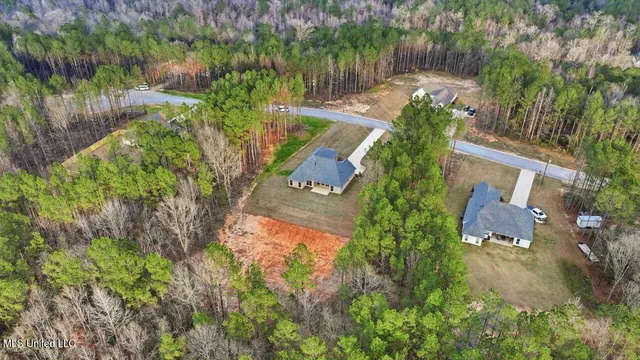 $398,500 | 143 Ashwood Lane, Mendenhall, MS 39114