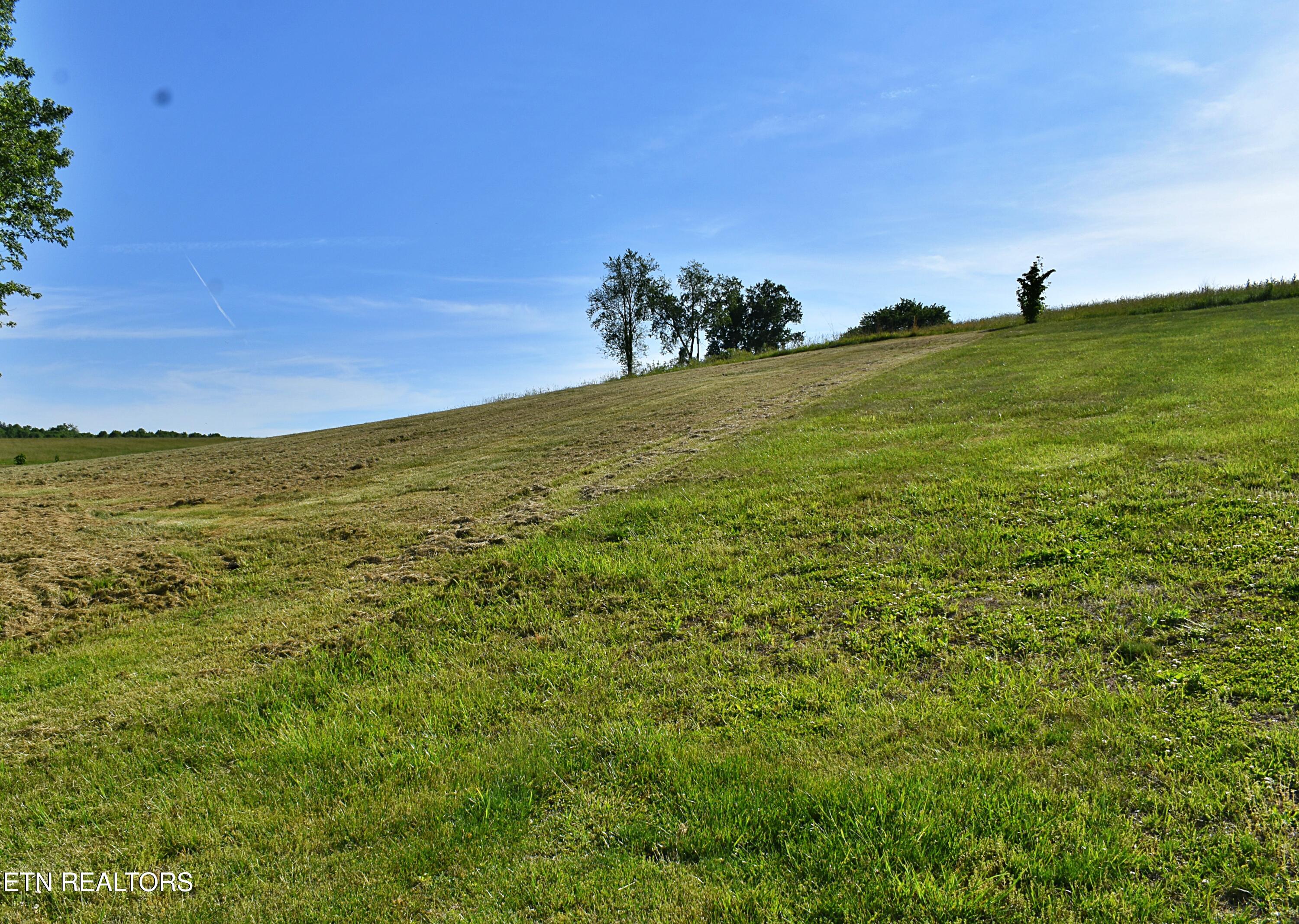 573 Patterson Road Harrogate, TN 37752 - Photo 53 of 60 DSC_0543