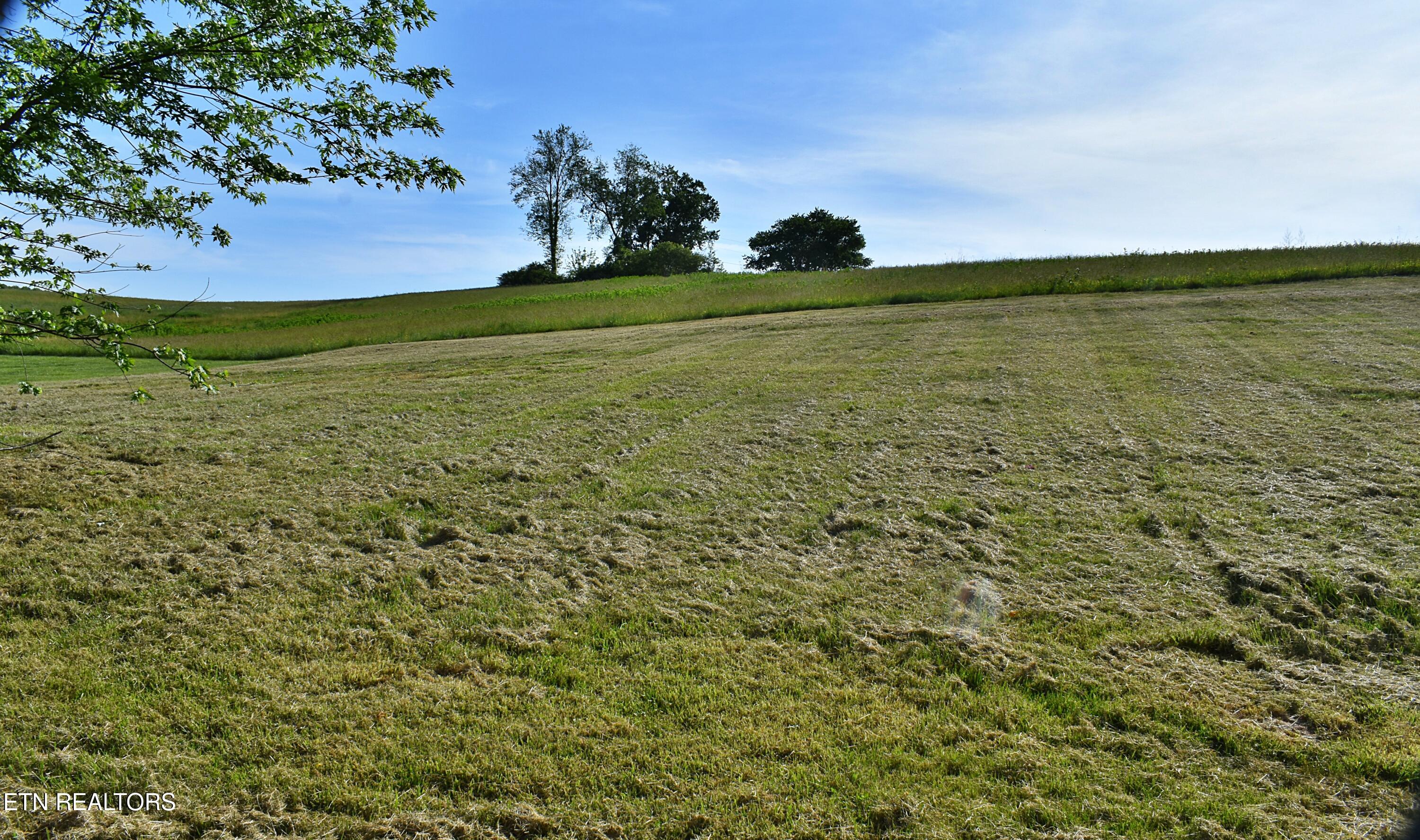 573 Patterson Road Harrogate, TN 37752 - Photo 55 of 60 DSC_0548