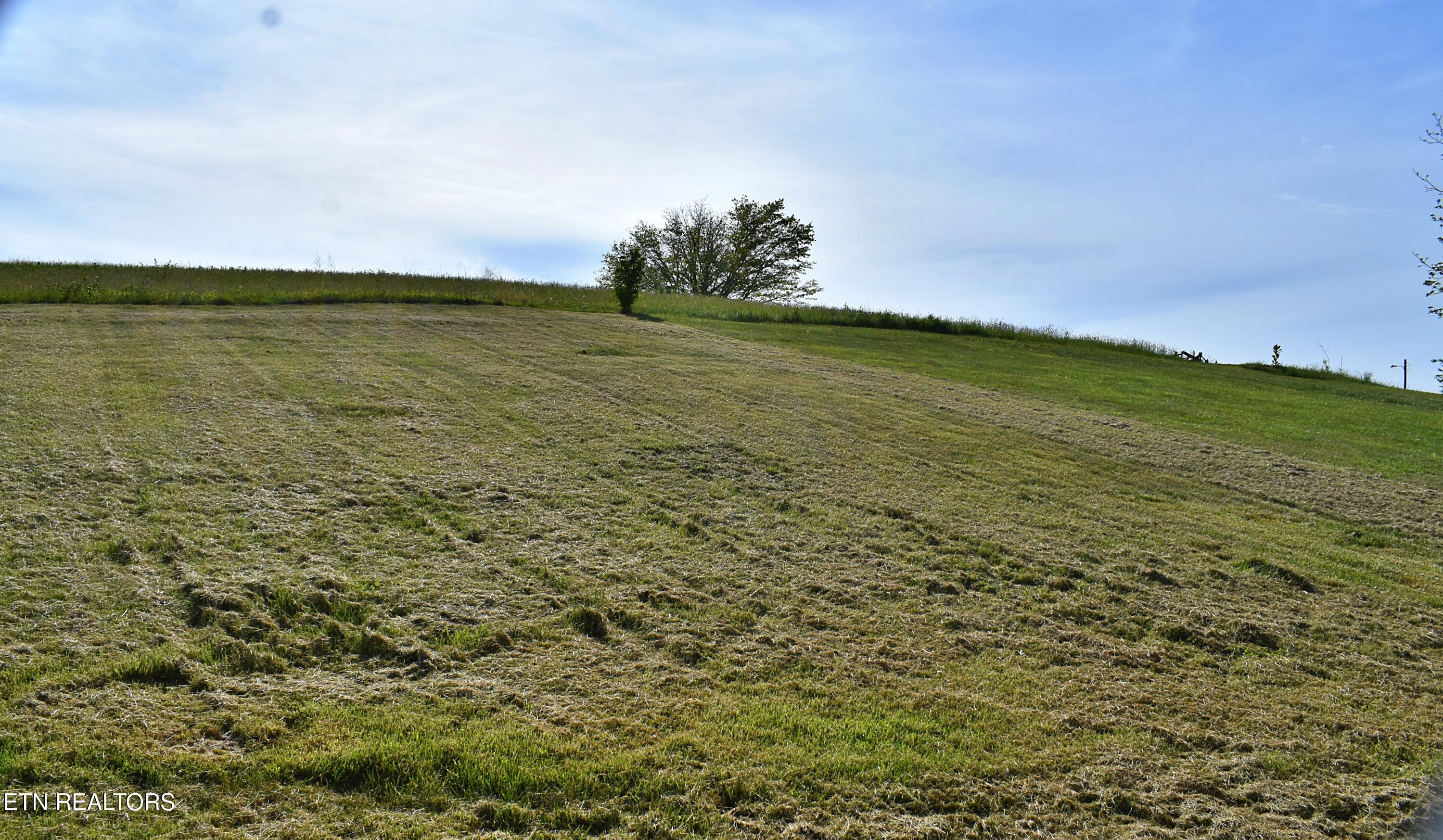 573 Patterson Road Harrogate, TN 37752 - Photo 56 of 60 DSC_0549