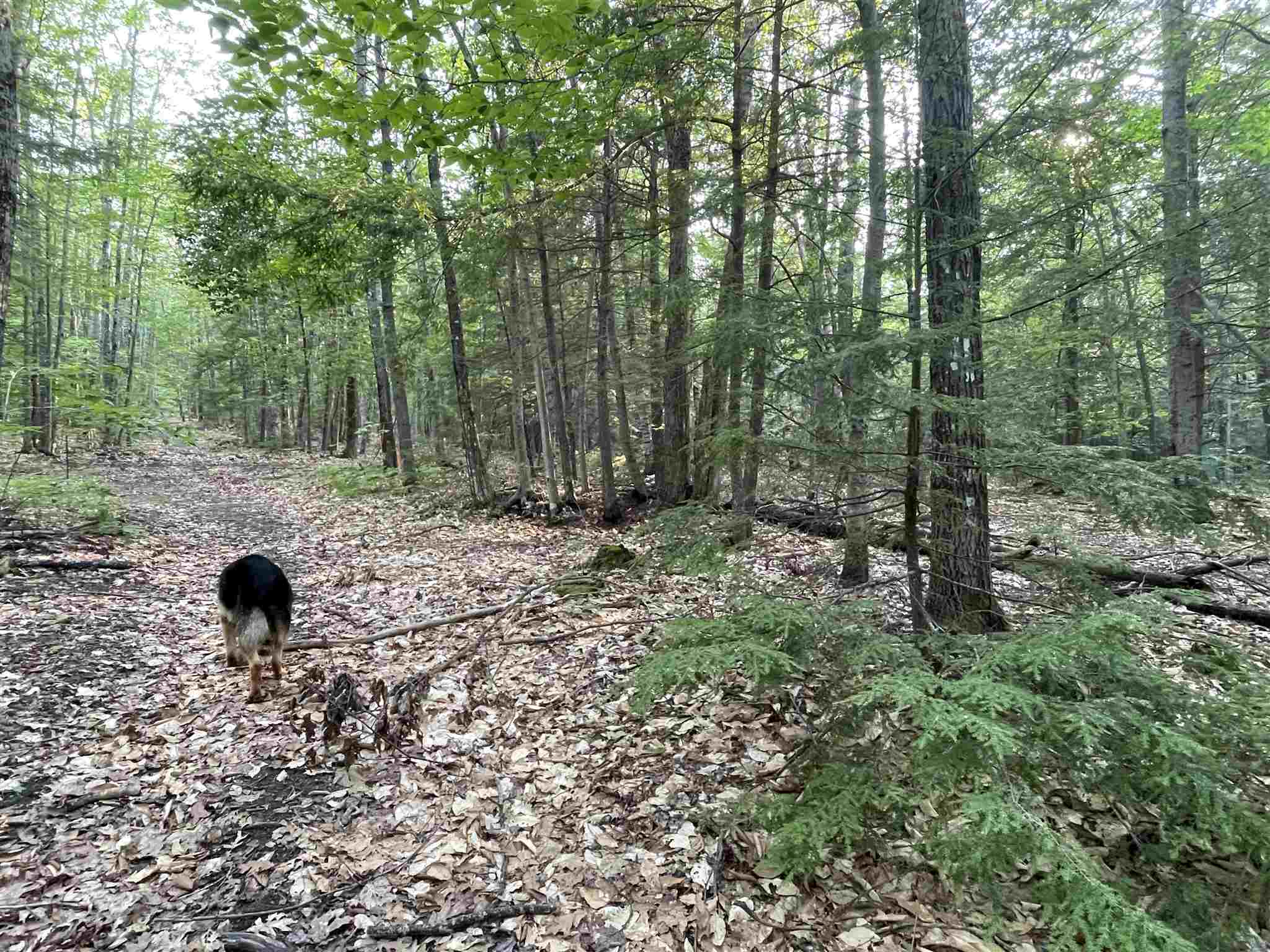 120 Circuit Road Ossipee, NH 03864 - Photo 11 of 38