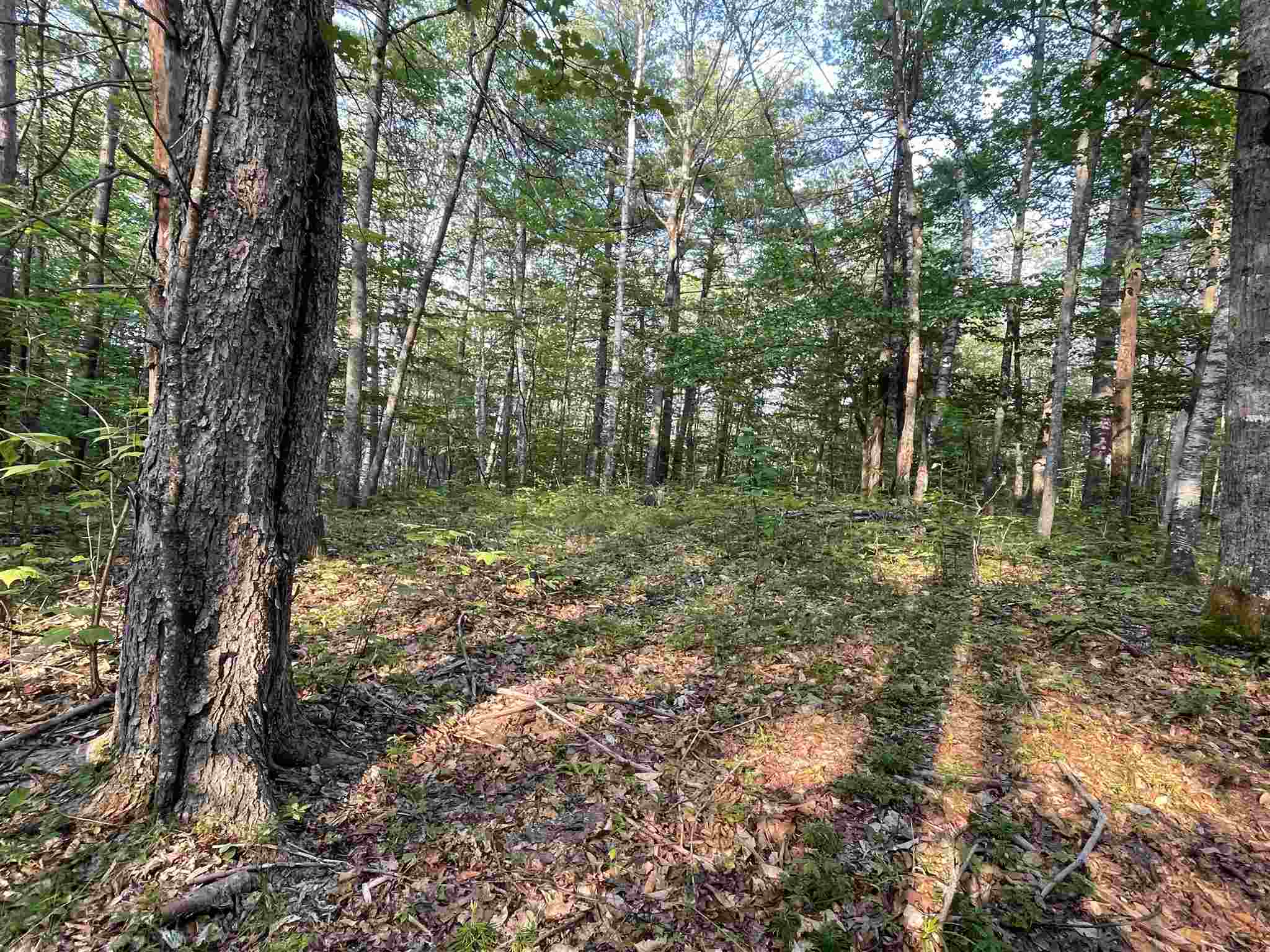 120 Circuit Road Ossipee, NH 03864 - Photo 15 of 38