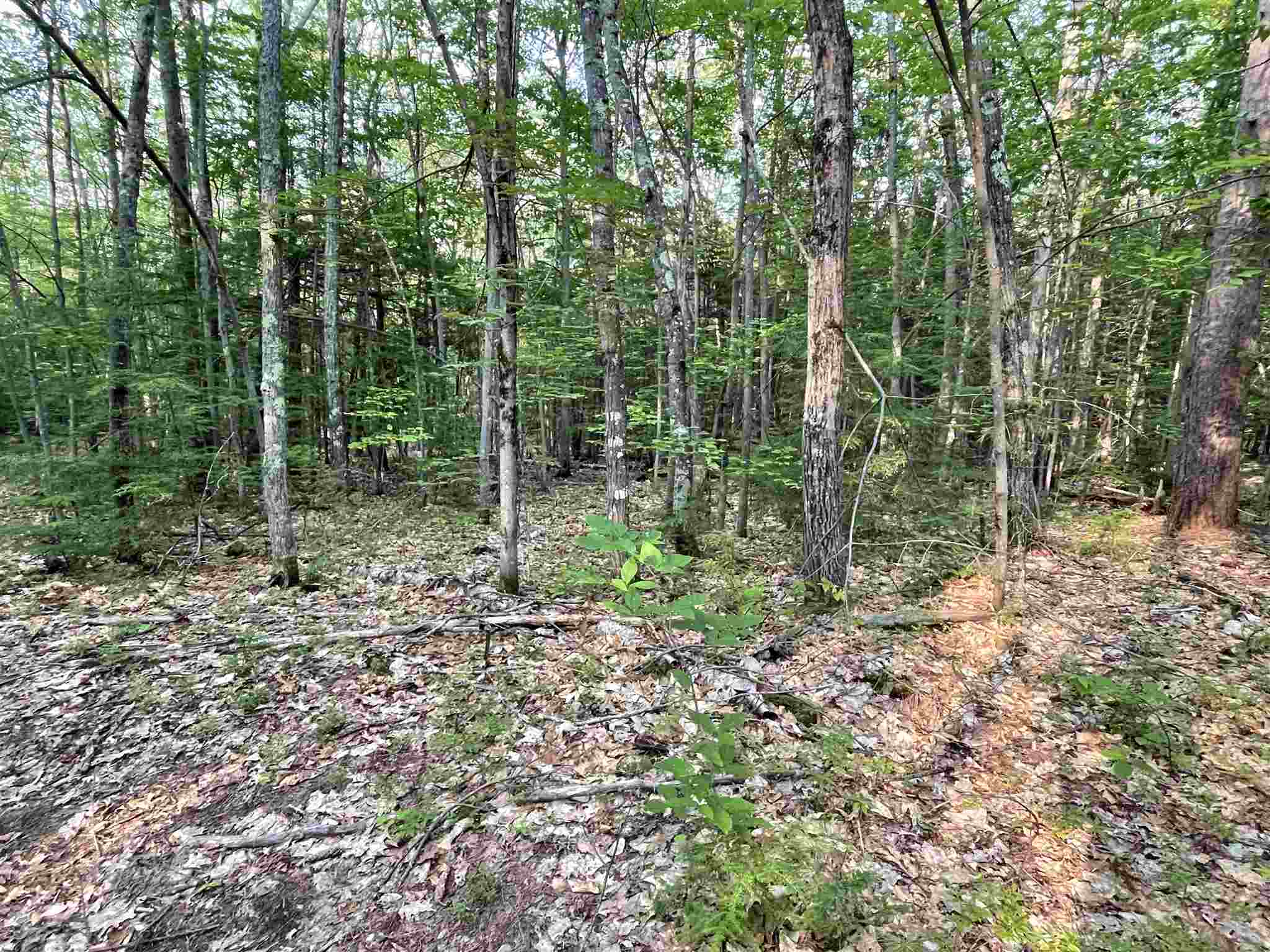 120 Circuit Road Ossipee, NH 03864 - Photo 16 of 38