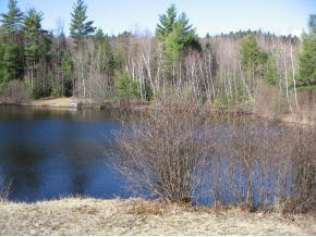 120 Circuit Road Ossipee, NH 03864 - Photo 18 of 38
