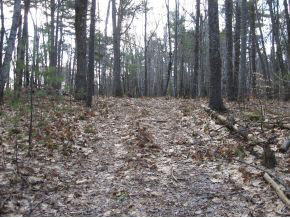 120 Circuit Road Ossipee, NH 03864 - Photo 20 of 38