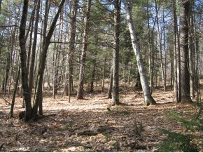120 Circuit Road Ossipee, NH 03864 - Photo 21 of 38