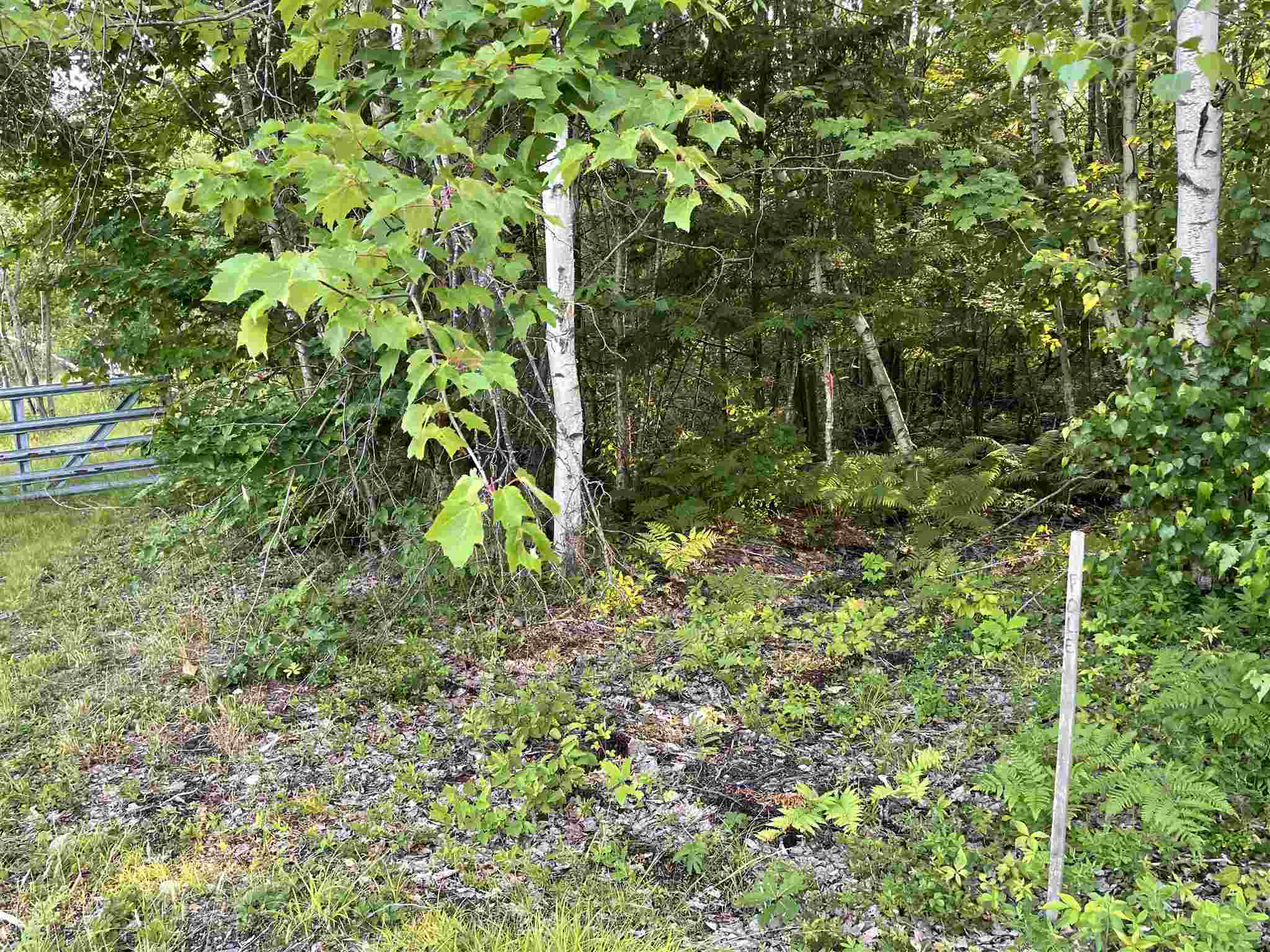 120 Circuit Road Ossipee, NH 03864 - Photo 25 of 38