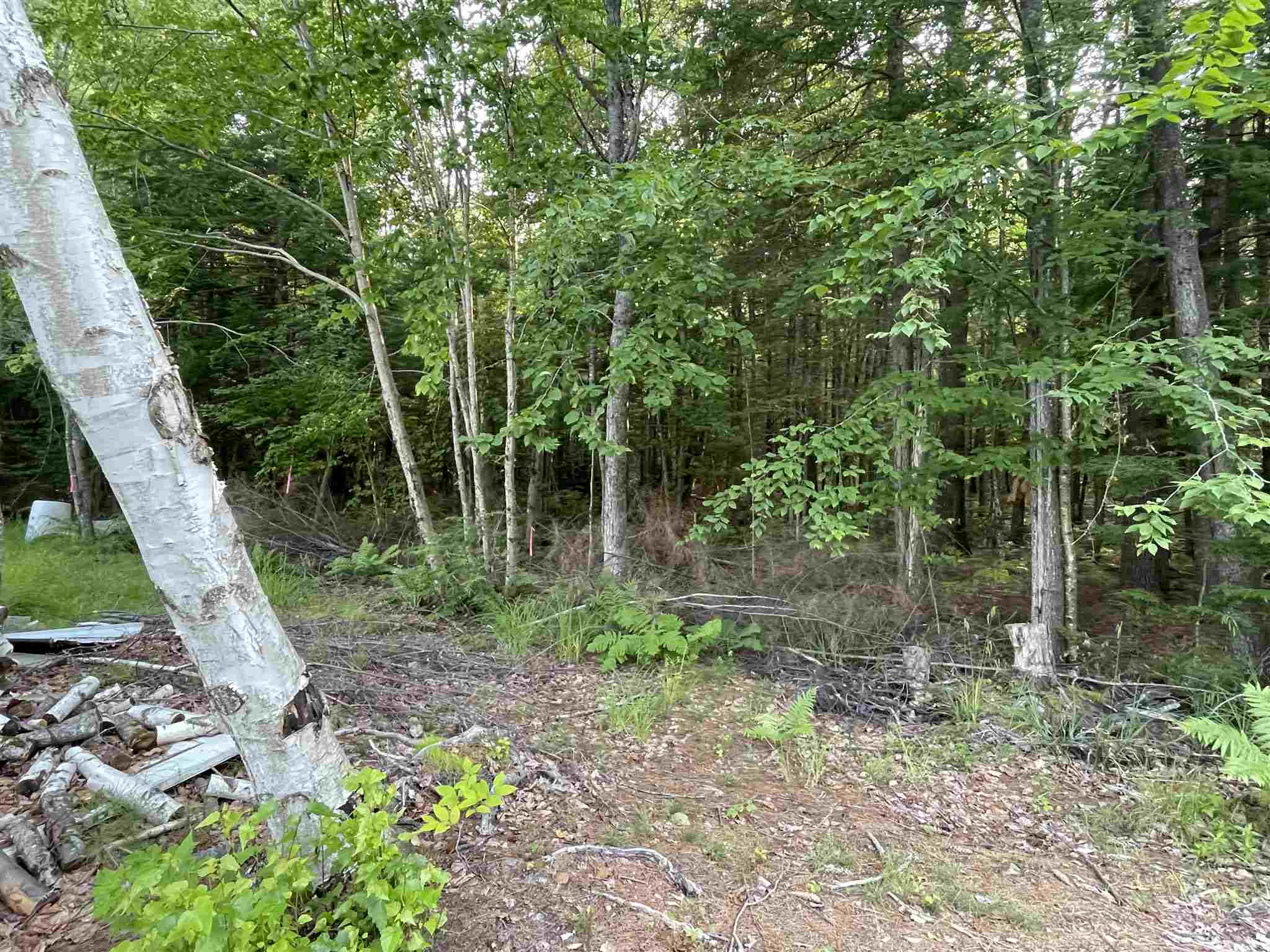 120 Circuit Road Ossipee, NH 03864 - Photo 10 of 38