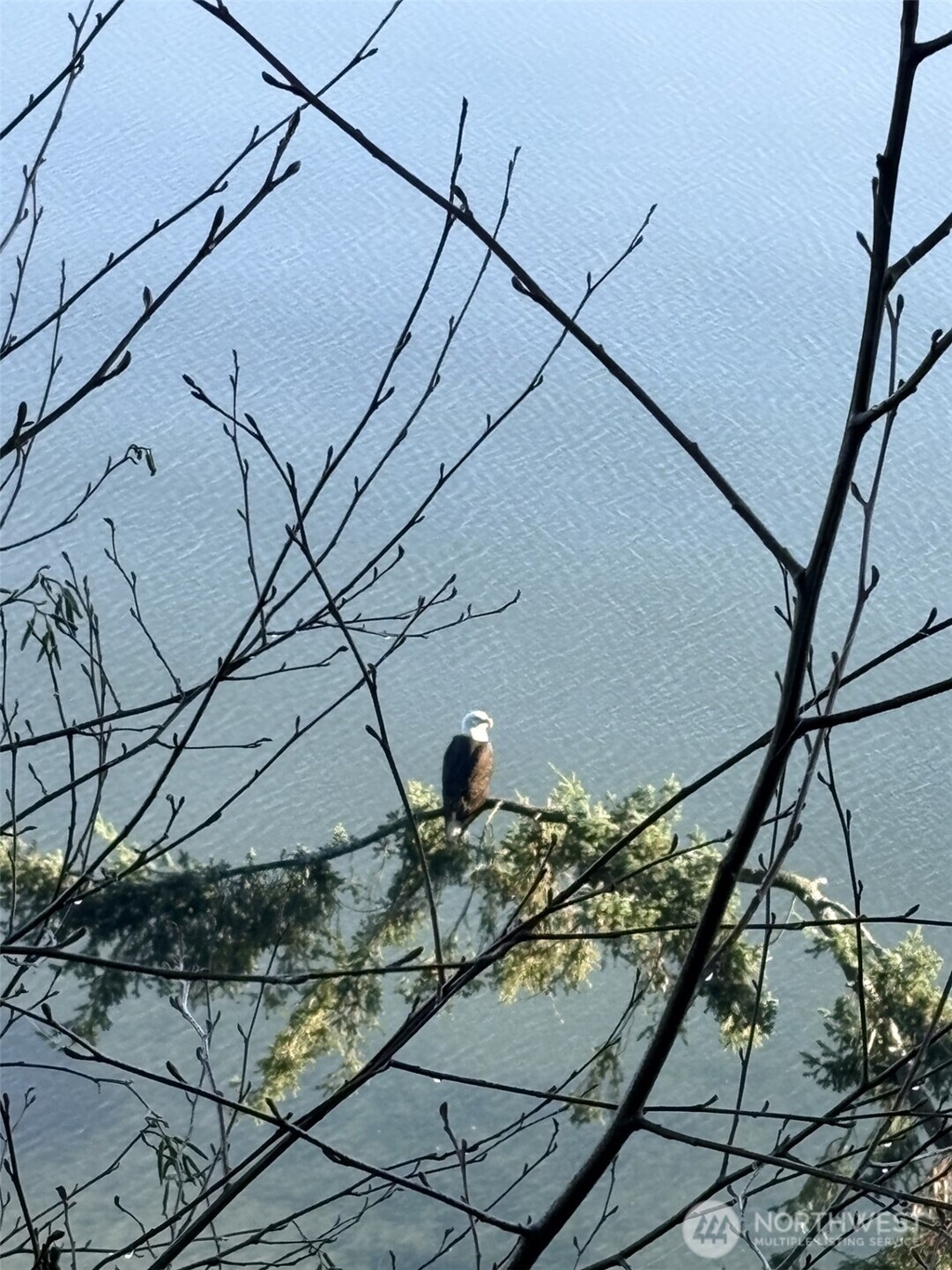 3817 Bells Beach Road Langley, WA 98260 - Photo 40 of 40