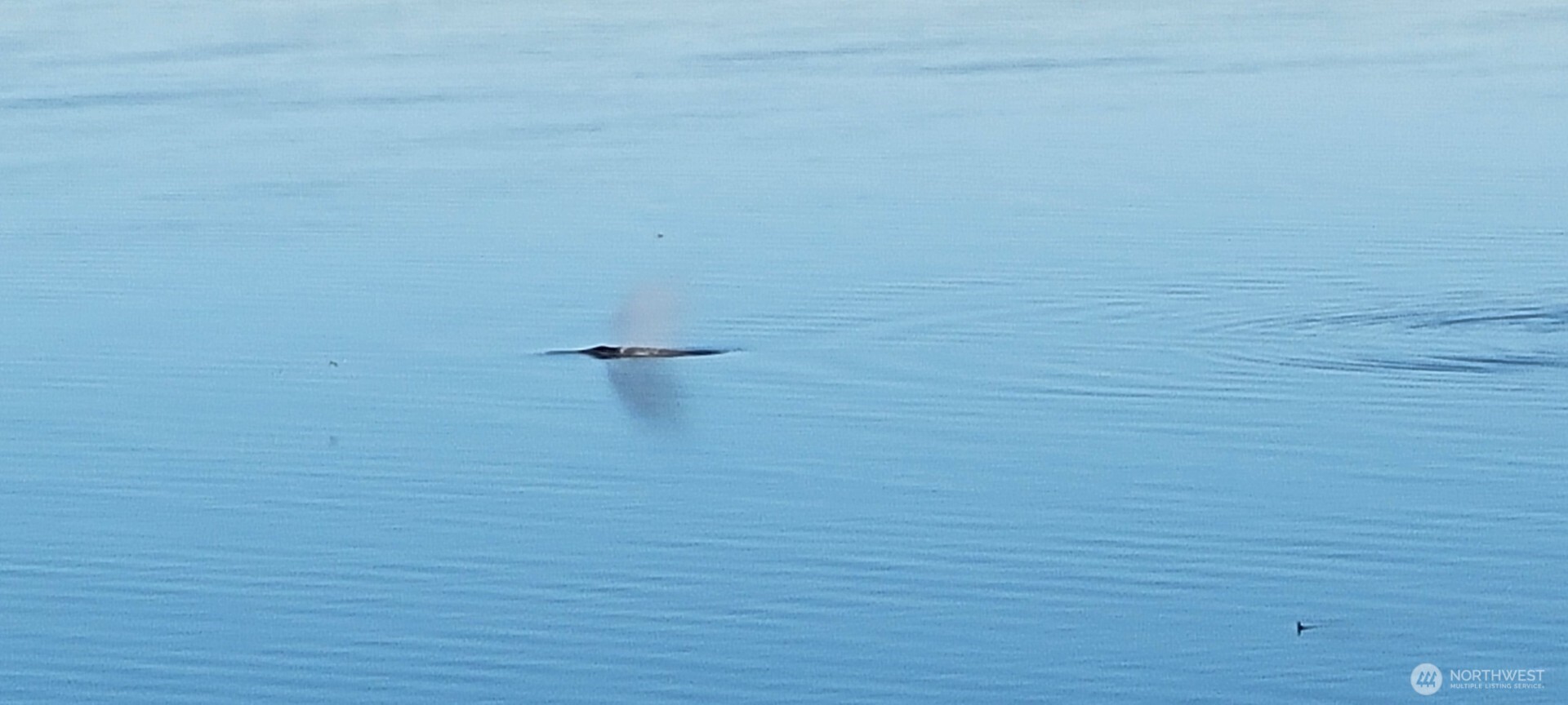 3817 Bells Beach Road Langley, WA 98260 - Photo 7 of 40