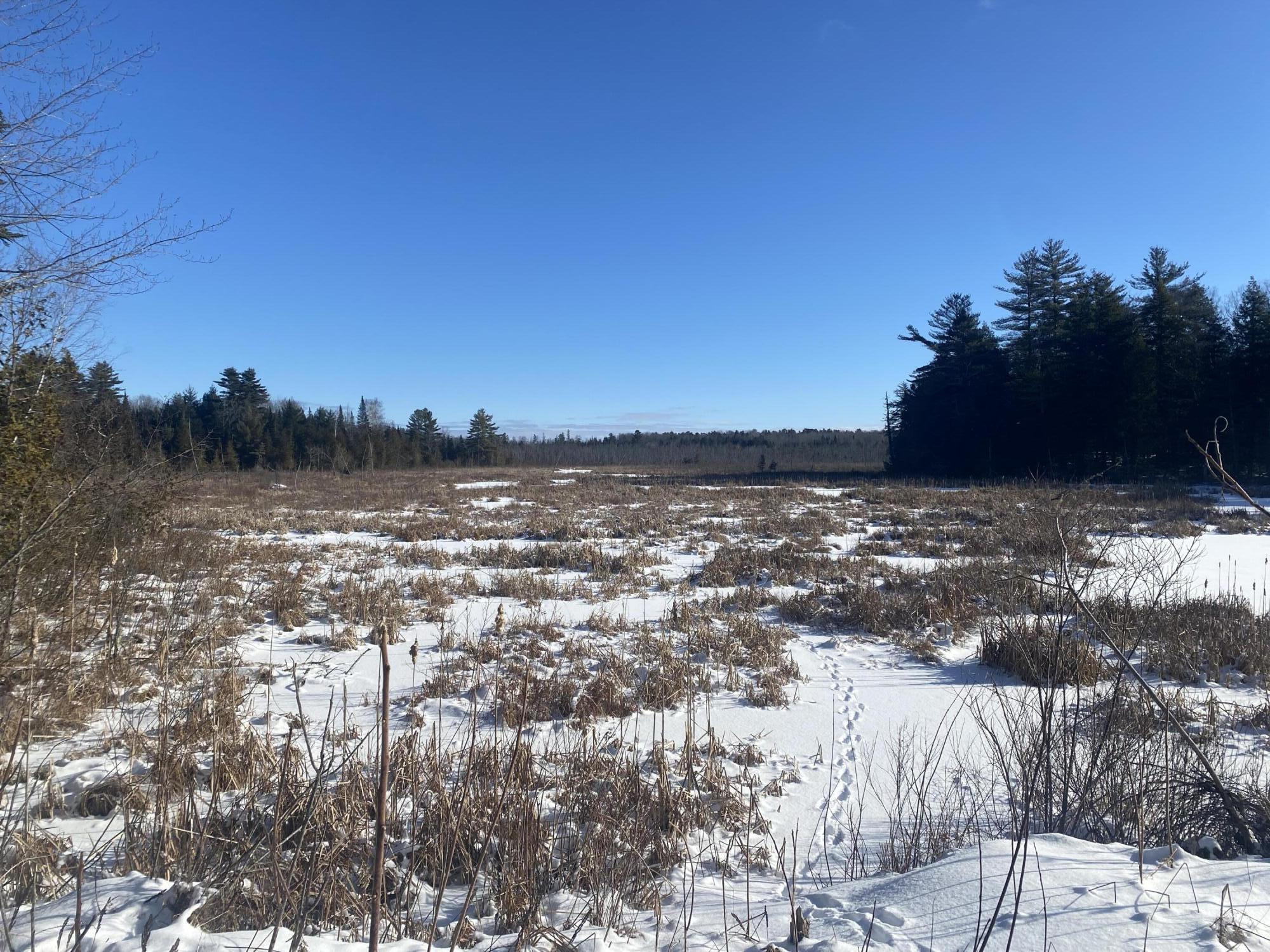 Lot 8 Village Road Stetson, ME 04488 - Photo 17 of 22 IMG_9664