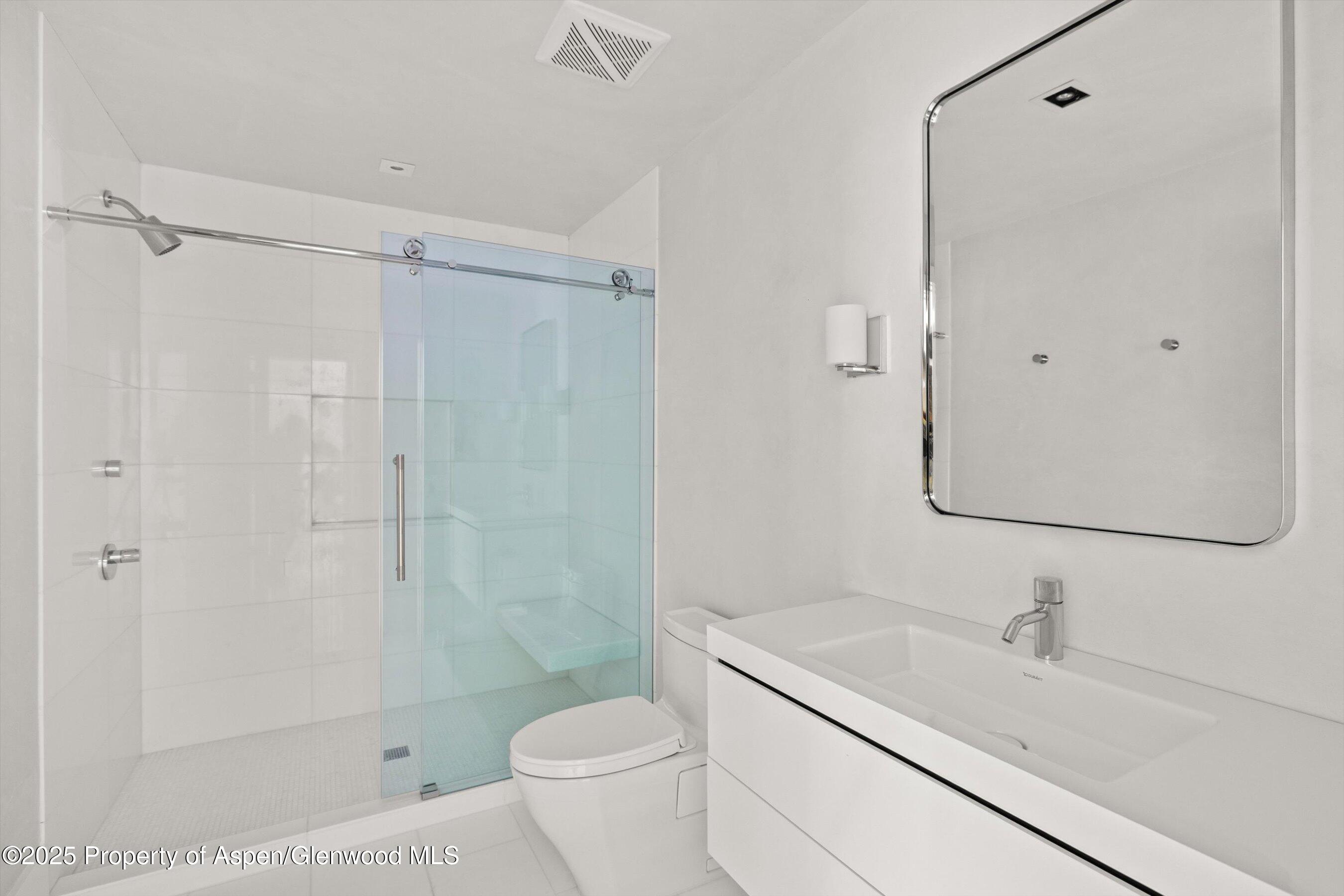 1220 Red Butte Drive Aspen, CO 81611 - Photo 11 of 27 a bathroom with a granite countertop sink a toilet and shower