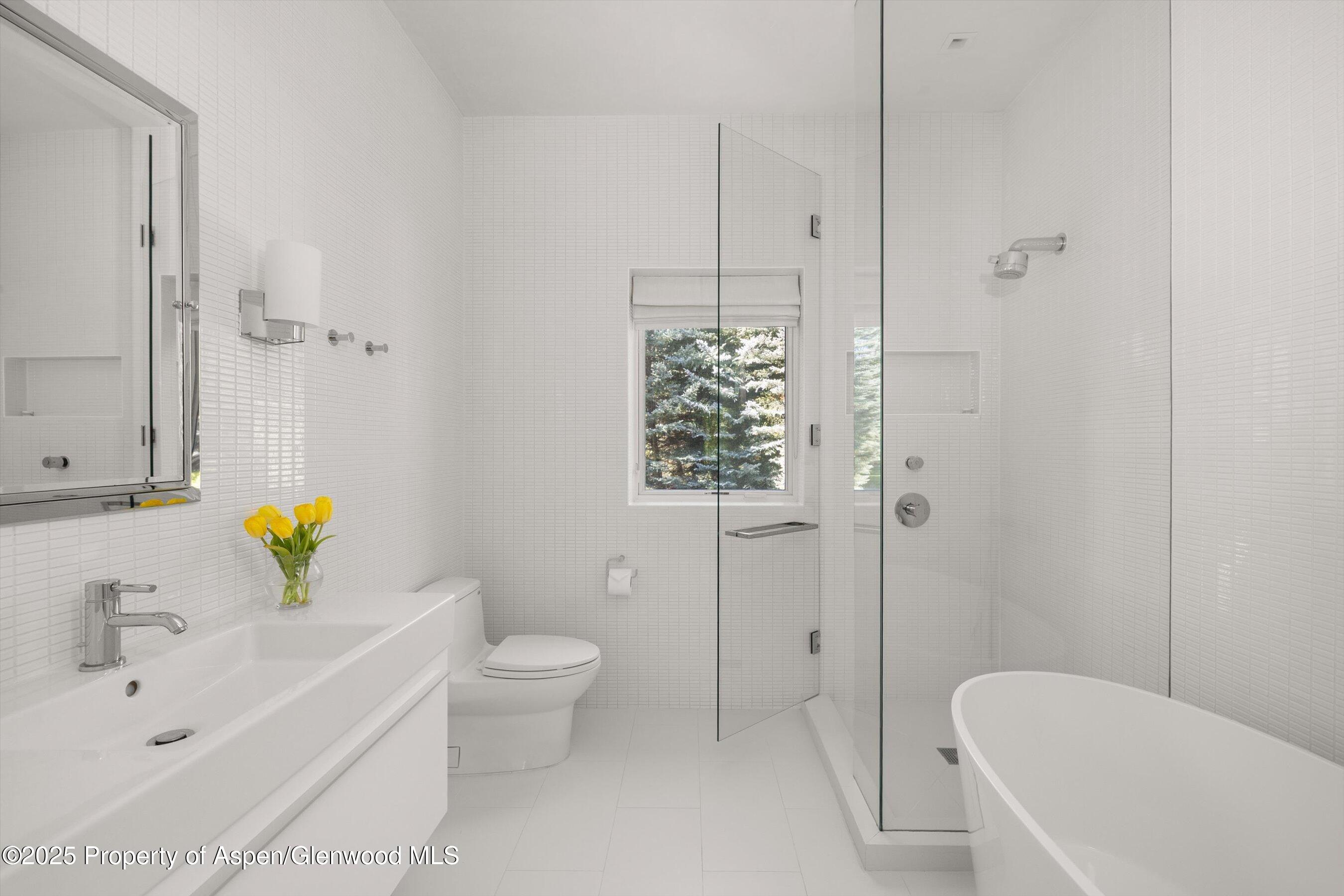 1220 Red Butte Drive Aspen, CO 81611 - Photo 20 of 27 a bathroom with a sink a toilet and shower