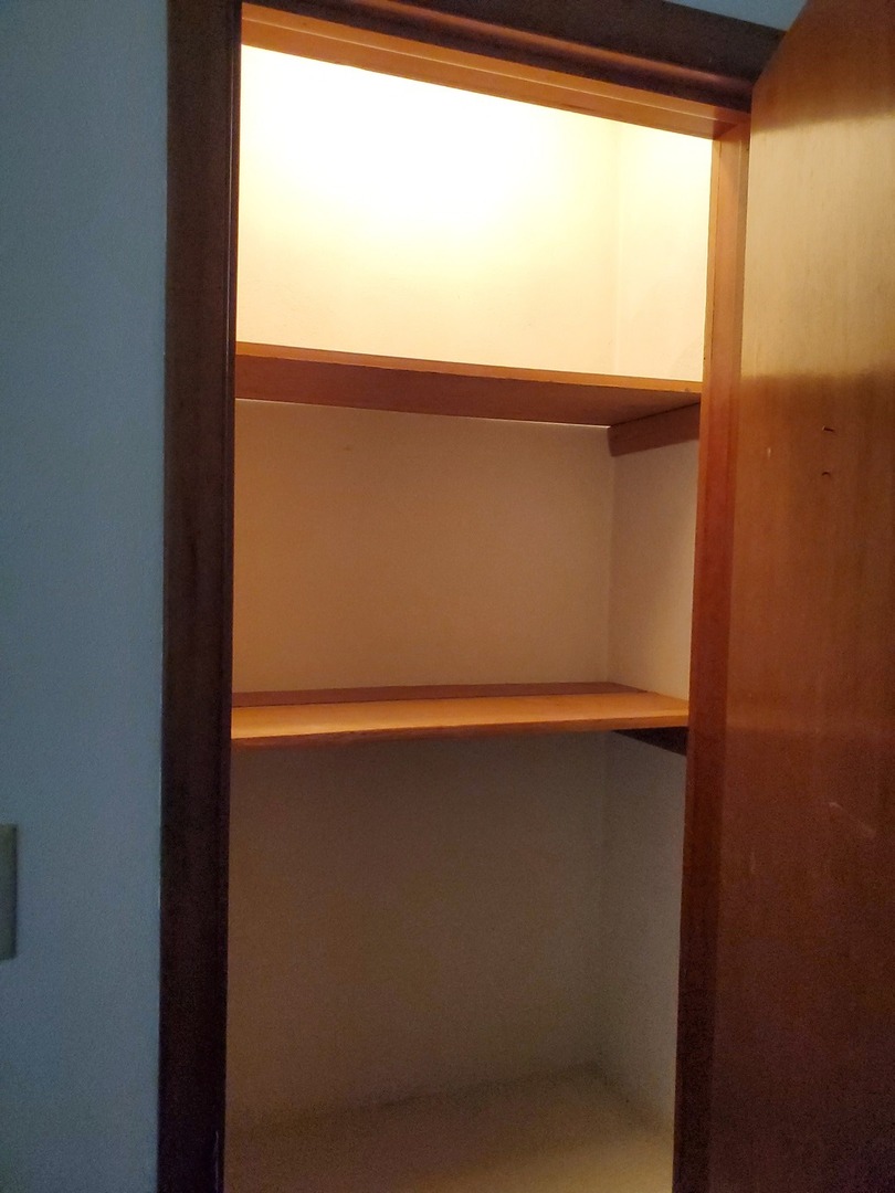 730 North 2853rd Road Utica, IL 61373 - Photo 13 of 23 a close view of closet