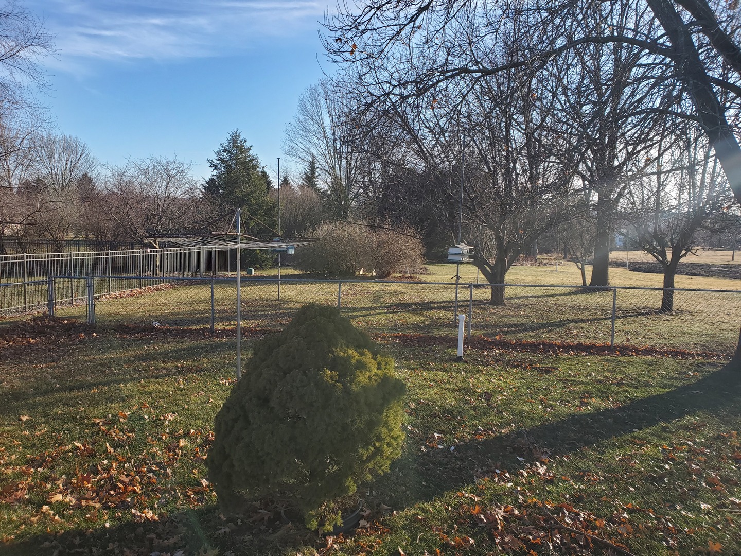 730 North 2853rd Road Utica, IL 61373 - Photo 20 of 23 a view of lake view with tree