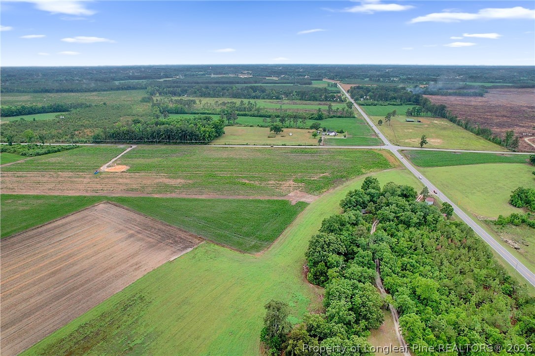 Lot 4 Buie Philadelphus Road Red Springs, NC 28377 - Photo 9 of 11