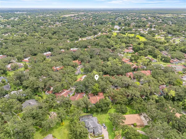 an aerial view of forest
