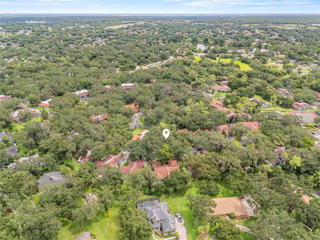 6642 Trail Ridge Drive, Unit 6642 Lakeland, FL 33813 - Photo 38 of 39 an aerial view of forest