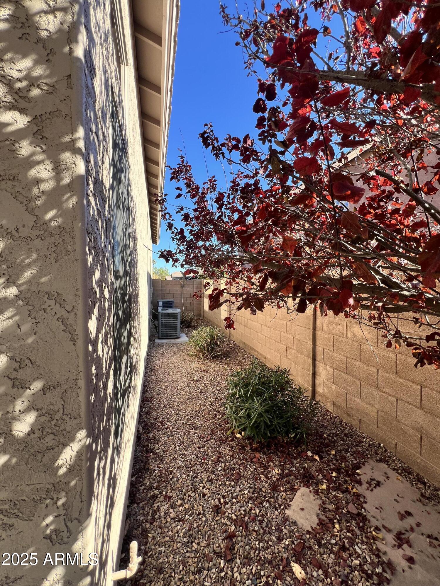 20582 North 92nd Lane Peoria, AZ 85382 - Photo 26 of 30 a view of a pathway with a tree