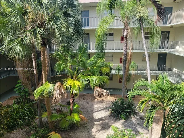 a view of a garden with plants