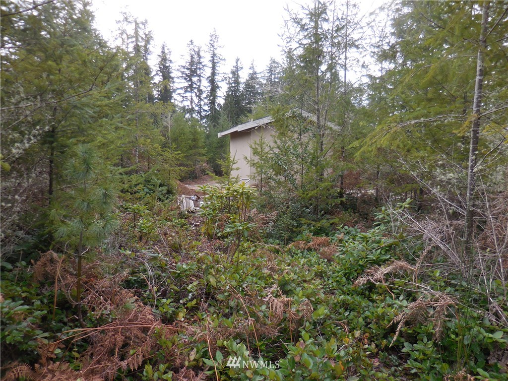 1211- Northeast Raspberry Ridge Lane Poulsbo, WA 98370 - Photo 10 of 34 Gallery Image 10