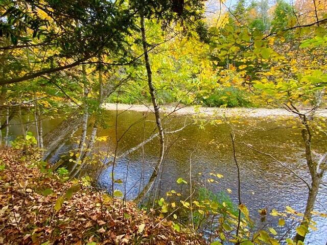 448 West Kingfield Road Kingfield, ME 04947 - Photo 43 of 49 Tooker6