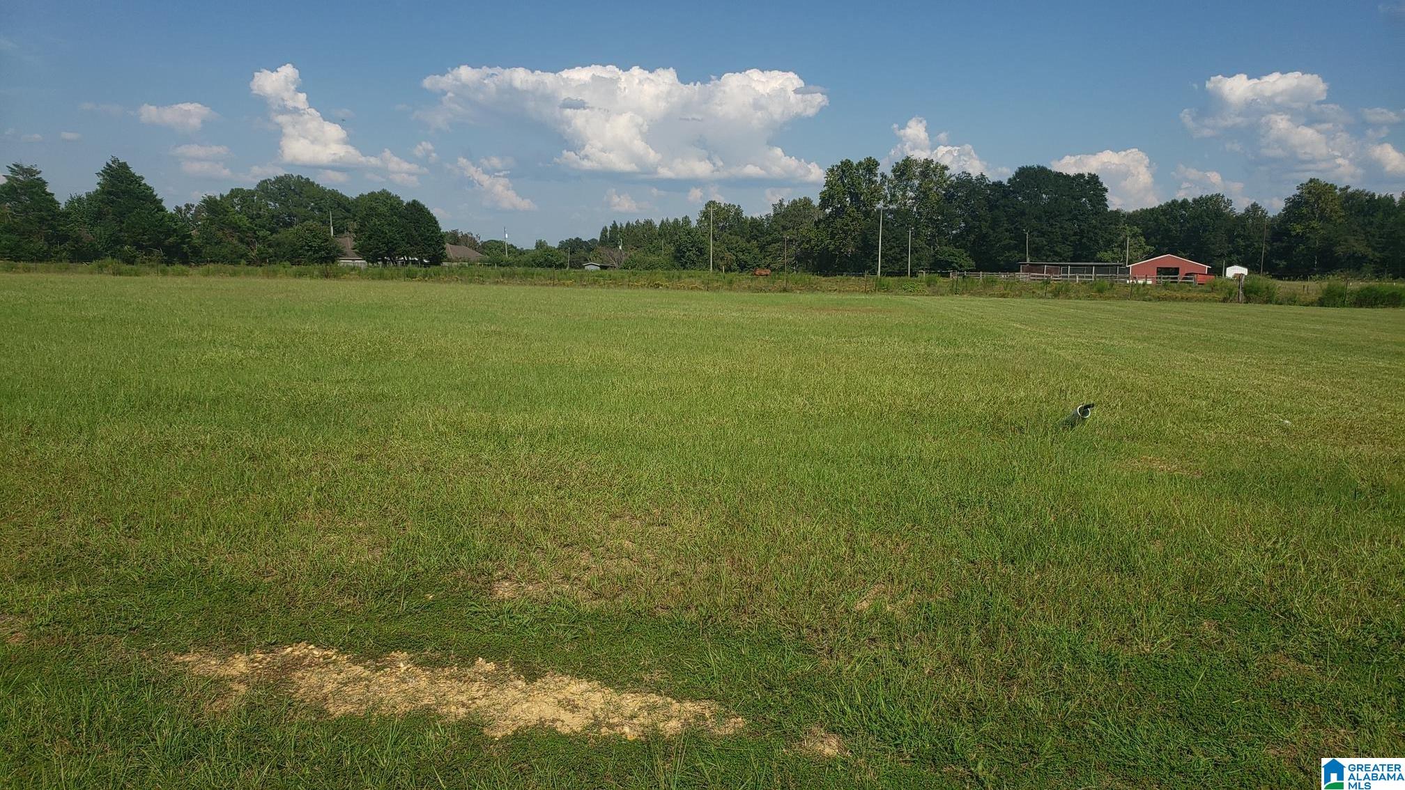 798 County Road, Unit 1 Clanton, AL 35045 - Photo 1 of 1