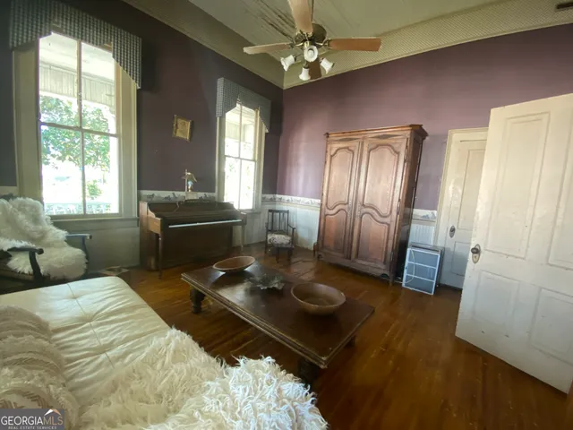 a view of a yard with plants and trees