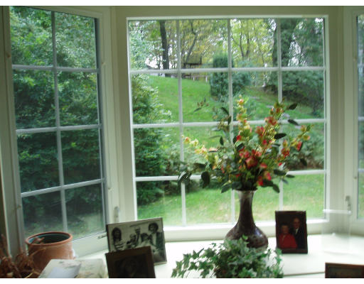 19 Kirkstall Road Newton, MA 02460 - Photo 8 of 9 a view of a garden from a window