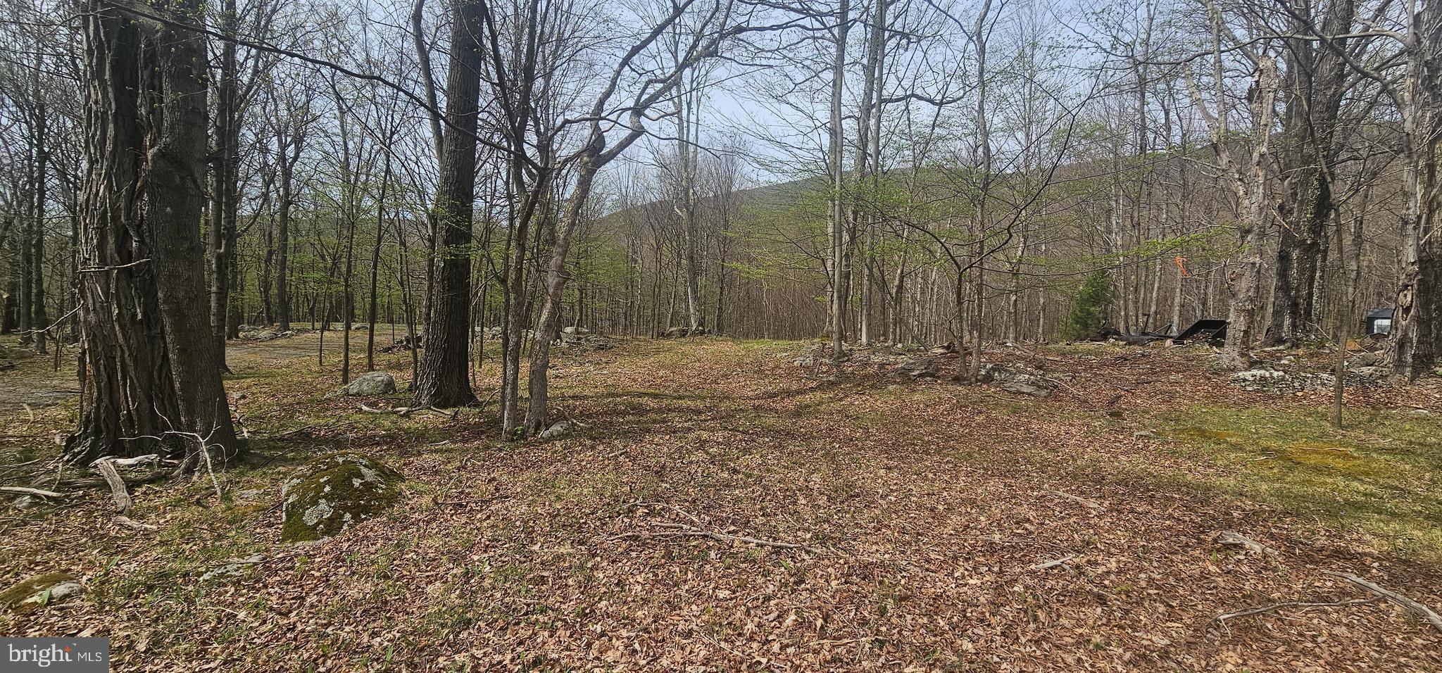 Goldenseal Road Maysville, WV 26833 - Photo 4 of 34 Gallery Image 4