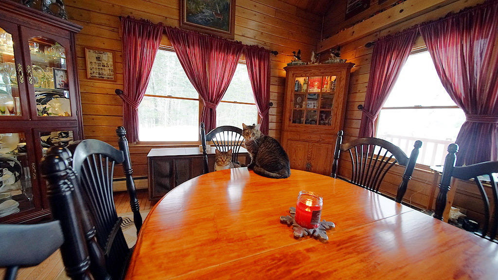 137 Picnic Point Road South Brookton, ME 04413 - Photo 10 of 34 jackson-brook-lake-23