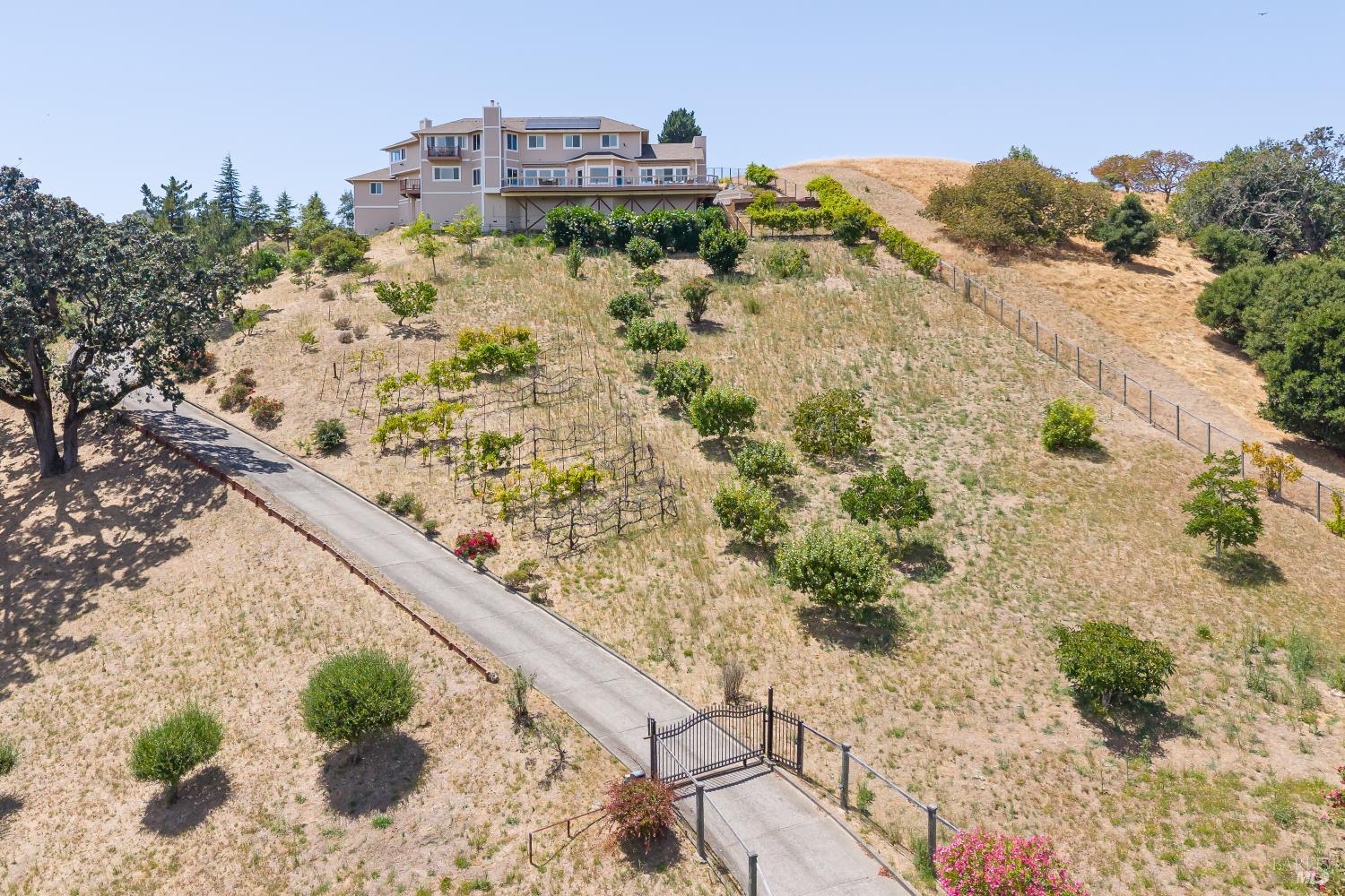 15 Ravine Way Novato, CA 94947 - Photo 2 of 48 Aerial photo of land, vineyard, security gate