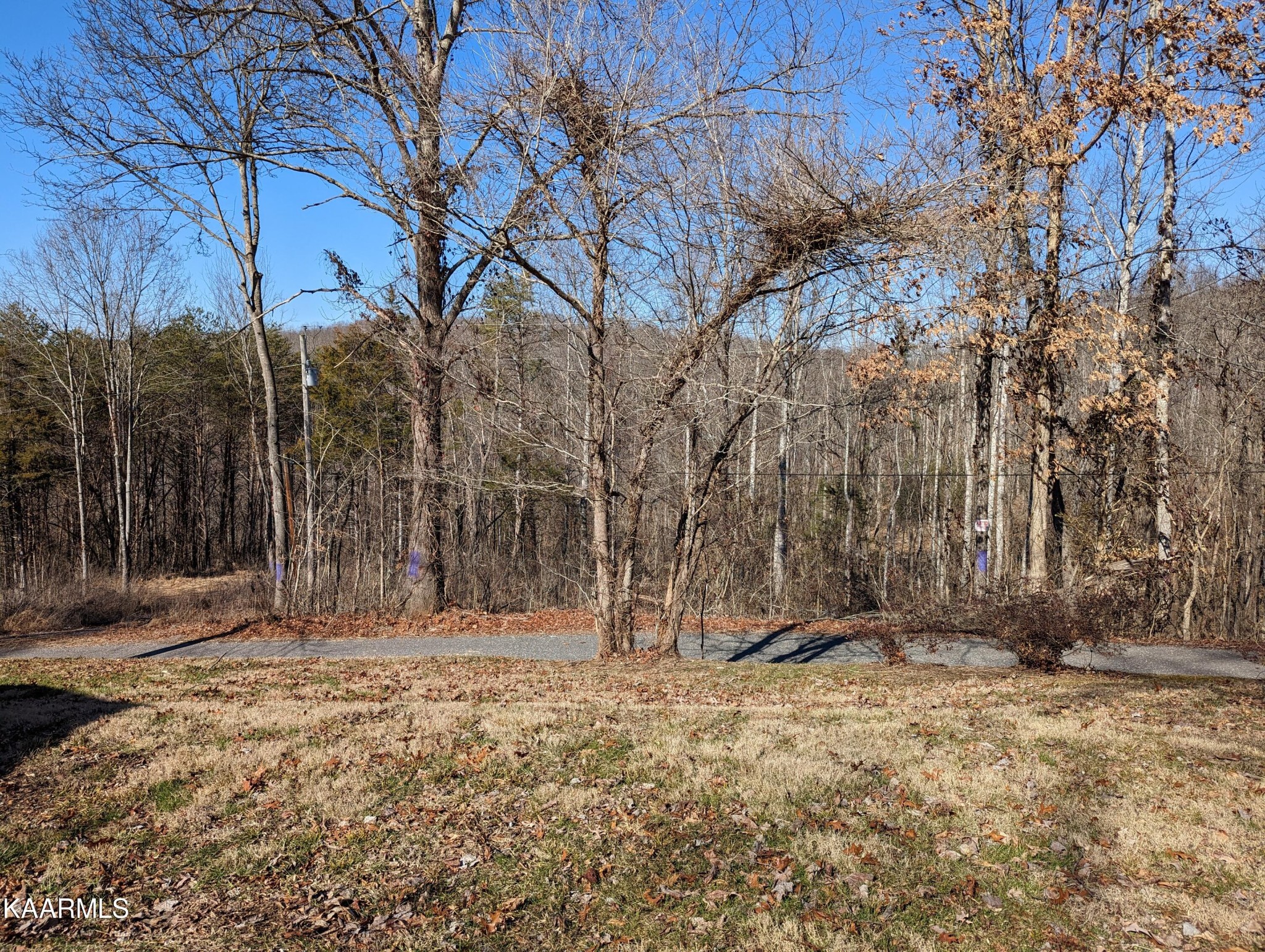 1819 Fairfax Road Newport, TN 37821 - Photo 14 of 32 Gallery Image 14